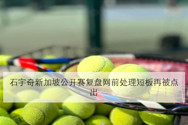 石宇奇新加坡公开赛复盘网前处理短板再被点出